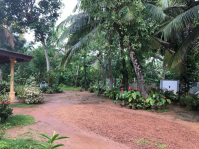 Green garden villa